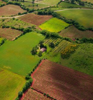 aerial view of green grass field
